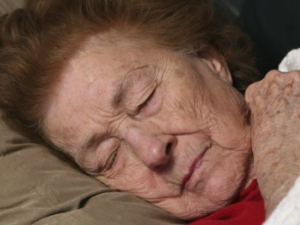 �����и����Ԥ���������