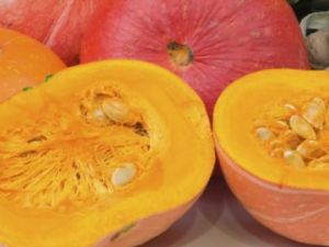 �ʺϾ��ڳԵ�ʳ������Щ ������α����Լ�