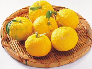 ���ڵĹ�Ч���� ���ڵ�ҩ�ü�ֵ