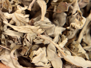 ���Ԥ������ݡ���� ����ݡ�����ƫ������Щ