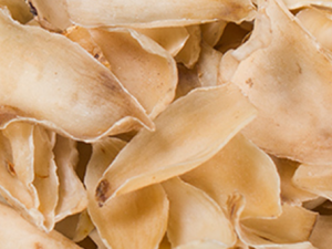 ���챣���ķ�������Щ ���챣��Ҫע��ʲô