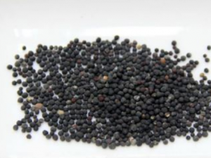 ���������β��侫֢