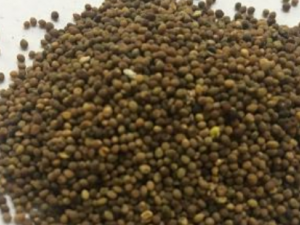 ��ҽ������Ʋ���֢ ����Щƫ������