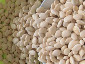 ױⶹЩЧ ױⶹı淽