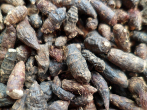 �㸽�Ĺ�Ч���� �㸽��ҩ�ù�Ч