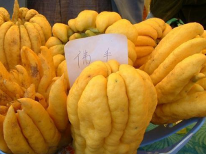 ���ֵĹ�Ч���� ���ֵ�ҩ�ü�ֵ