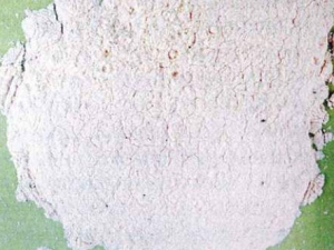 ��˪�ж��� ��˪�Ĺ�Ч