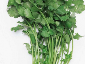 ������֪��ʲô���� ���˵Ĺ�Ч����