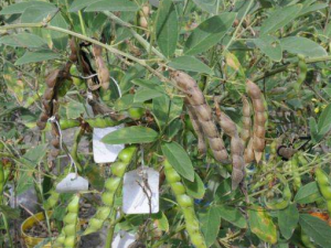 ľ����Թ��� �����ѡľ��