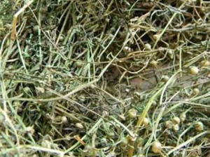 �׻�����ݵĹ�Ч������