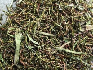 �ɳ��ٲ���ˮ�ȵĹ�Ч һ�����˽�һ�°�