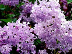 ���㶼����Щ���� �����С�鷽