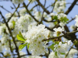 �ӻ�ϴ����������ȥ�ߵ�