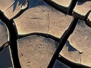 Ƥ��������β�ˮ ����Ƥ������Ĳ�ˮ����