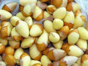 �׹���Ӫ����ֵ �����ѡ�׹�