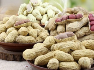 ʲô���Ļ������� �����ѡ�����ź�