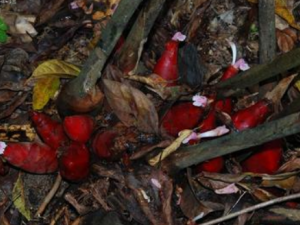 ��������ô���� Ӧ�������