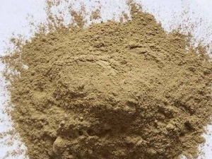 ��ҩ����Щ��Ч����