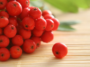 θ���������ܳ�ɽ��� θ�����Ӧ�����ʳ