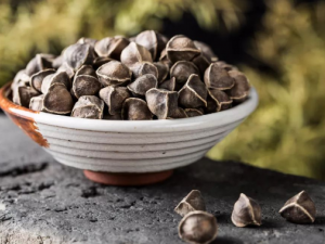 ��ľ�ѵĹ�Ч����Щ ��ľ������Щ����