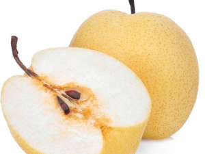 ��������Ӧ��������� ���������֢״