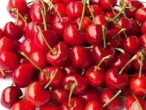 11��ʳ��Դ�������ЩΣ�� ��֪����