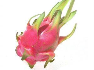 �����Ի������л�����