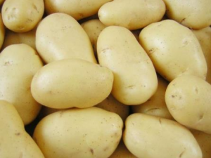 ����������������ϴ�-