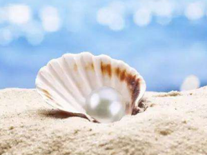 ���Լ���Ӧ���������� �����ȷ�������Լ���