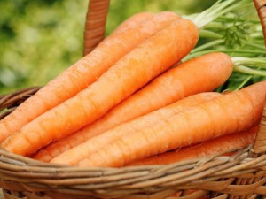 ���ܲ�������Ⱥ����Щ ���ܲ���������