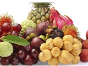 �������������Щ�ٴ�����