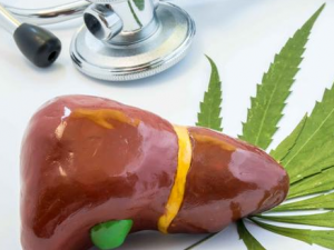 ����������ø��� �������������Щ����