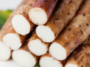 ��ζ����ʳ���Ƽ� ���������ر�Ŷ