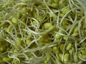 ���ʶ�ѿ����Щ�ص� ��β���ʶ�𻯷ʶ�ѿ