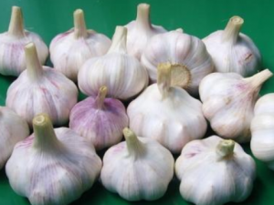 ����Ĵ��淽�� ��ѡ����ļ�������Щ