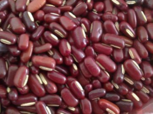 ��С��������ѡ ��С���ͺ�С��һ����