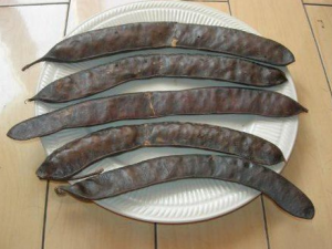 ���ǵĹ�Ч���� ������ҩ����