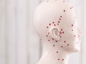 ����Ƥ�������ķ�������Щ