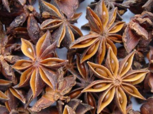 ���������ٴ��� ���������ٴ���