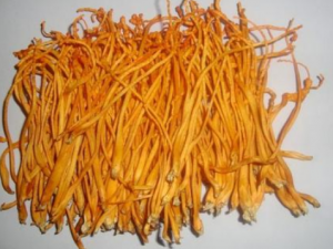 ��������Щ��Ч�� ���ݵ�ʳ�÷���