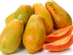 ľ�ϵĳԷ� �����ѡľ��