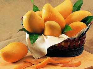 â������ѡ���� ʲô����â������