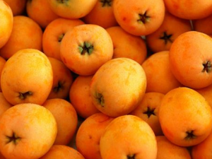 �����ѡ��������