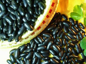 �ڶ��ͺ�ܿ�������� ��μ���ڶ��ͺ�ܿ��