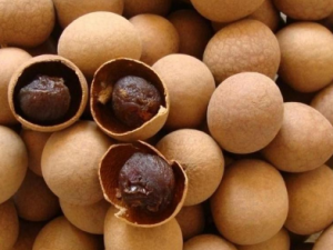 ��Щ�˲��˳Թ�Բ ��Բ��ʳ�ý���