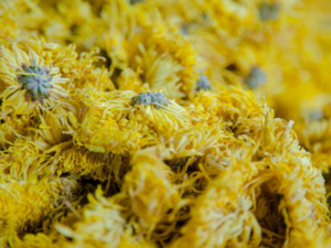 Ƣθ�麮������ν��� Ƣθ�麮������ʳ����