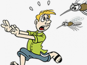 ���Ӷ�ҧ����ЩΣ�� ���Ӷ�ҧ������ƫ��