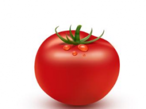 �Է��ѵ�������