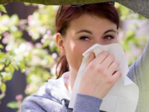 �������Ԥ�������Ա���