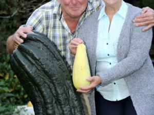 ���򲡻�������Щ���� ���򲡻����������Ԥ��